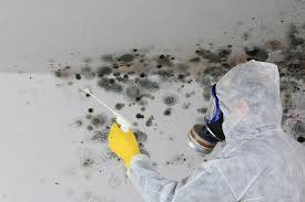 Why You Should Choose Our Mold Remediation Services in North Bend, NE